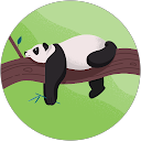 John Falcon profile picture